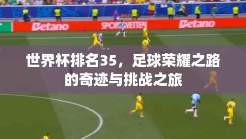世界杯排名35，足球荣耀之路的奇迹与挑战之旅