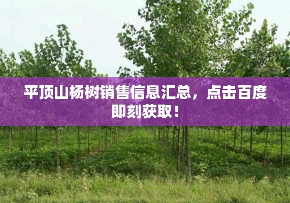 平顶山杨树销售信息汇总,点击百度即刻获取!