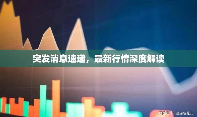 突发消息速递，最新行情深度解读