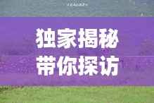 独家揭秘带你探访未知美丽,超详细县旅游攻略大全!