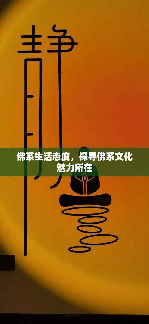 佛系生活态度,探寻佛系文化魅力所在