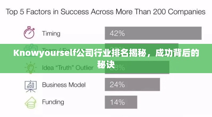 Knowyourself公司行业排名揭秘,成功背后的秘诀