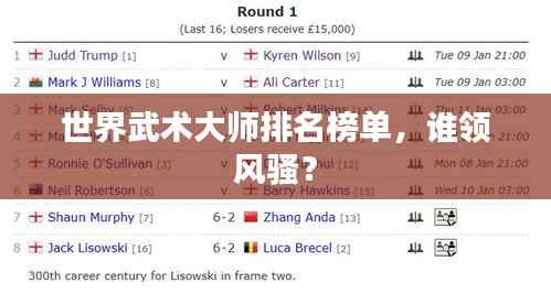 世界武术大师排名榜单，谁领风骚？