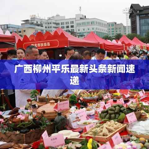 广西柳州平乐最新头条新闻速递