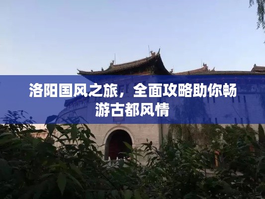 飞禽走兽