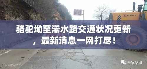 草草了事 第2页