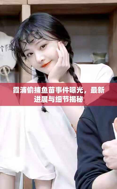 霞浦偷捕鱼苗事件曝光,最新进展与细节揭秘