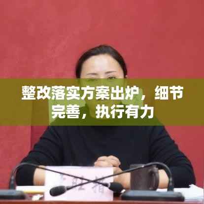 整改落实方案出炉，细节完善，执行有力