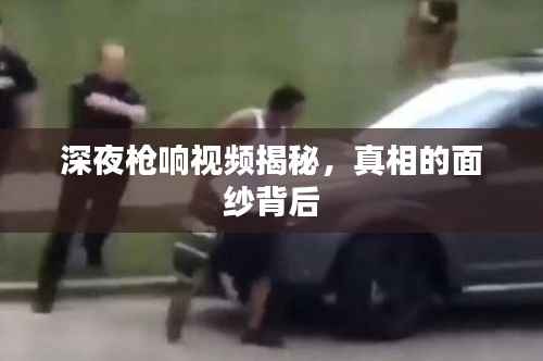 深夜枪响视频揭秘,真相的面纱背后