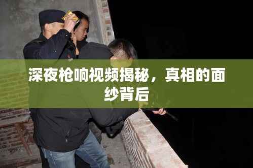 深夜枪响视频揭秘,真相的面纱背后