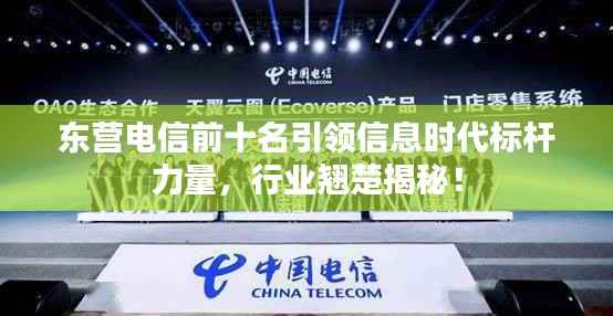 东营电信前十名引领信息时代标杆力量,行业翘楚揭秘!