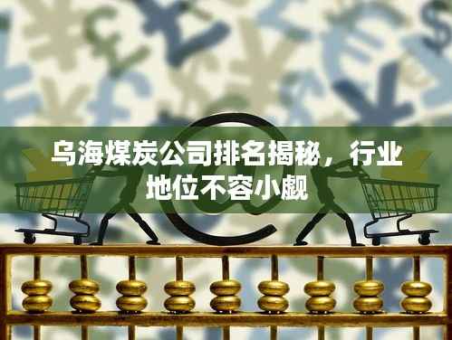 乌海煤炭公司排名揭秘，行业地位不容小觑