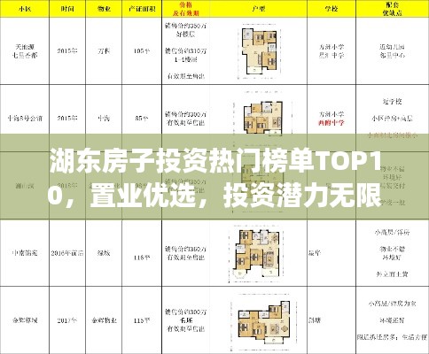 湖东房子投资热门榜单TOP10,置业优选,投资潜力无限!