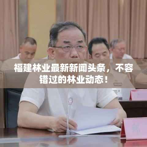 福建林业最新新闻头条,不容错过的林业动态!