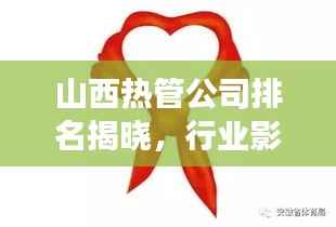 山西热管公司排名揭晓,行业影响力与市场份额揭秘