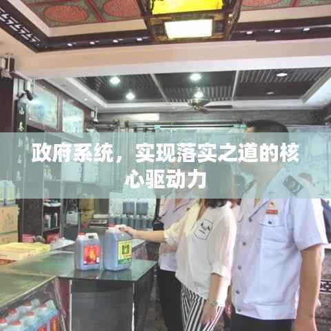 政府系统,实现落实之道的核心驱动力
