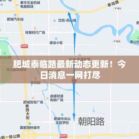 肥城泰临路最新动态更新！今日消息一网打尽