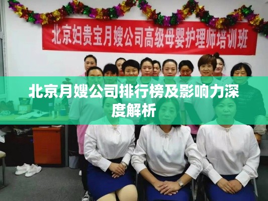 北京月嫂公司排行榜及影响力深度解析