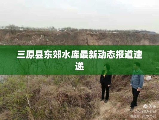 粗枝大叶 第2页