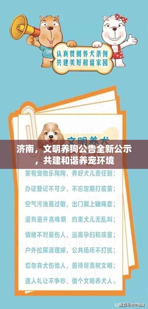 济南,文明养狗公告全新公示,共建和谐养宠环境