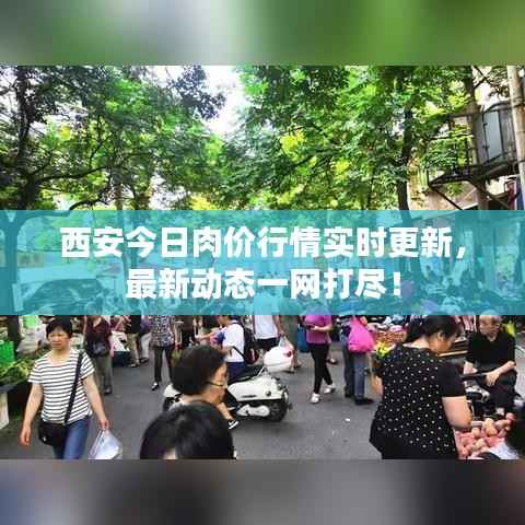 西安今日肉价行情实时更新,最新动态一网打尽!