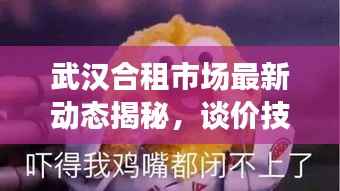 武汉合租市场最新动态揭秘,谈价技巧与租房攻略分享