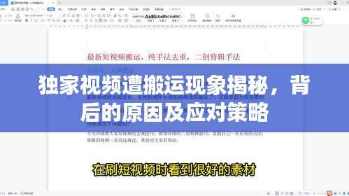 独家视频遭搬运现象揭秘,背后的原因及应对策略