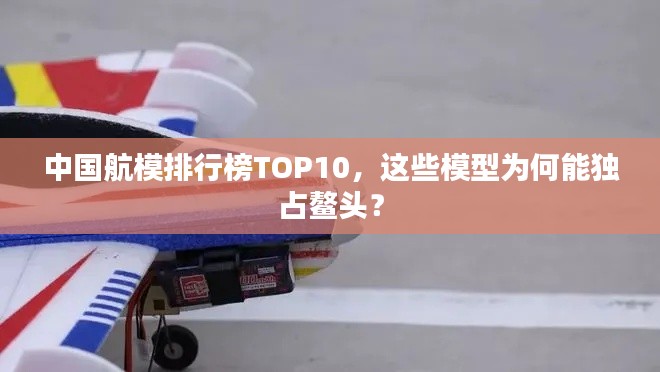 中国航模排行榜TOP10，这些模型为何能独占鳌头？