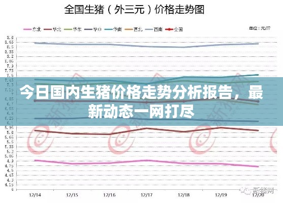 今日国内生猪价格走势分析报告,最新动态一网打尽