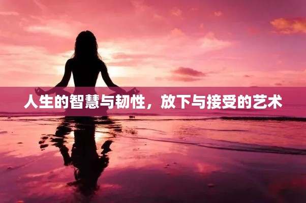 人生的智慧与韧性，放下与接受的艺术