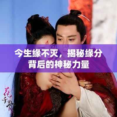 今生缘不灭,揭秘缘分背后的神秘力量