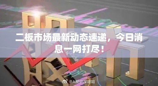 二板市场最新动态速递,今日消息一网打尽!