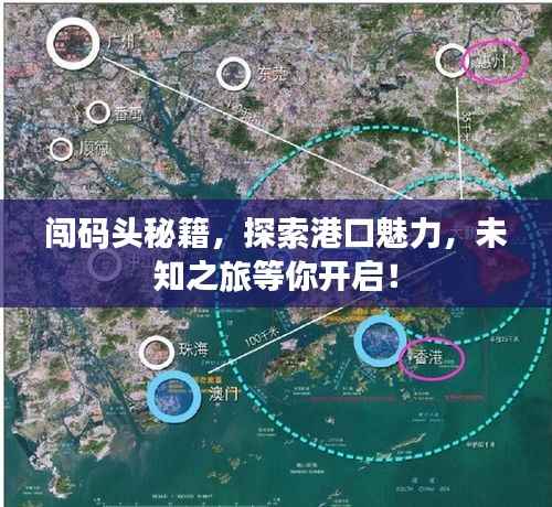 闯码头秘籍,探索港口魅力,未知之旅等你开启!