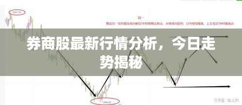券商股最新行情分析,今日走势揭秘