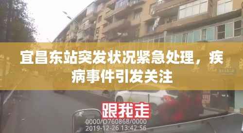 越鸟南栖