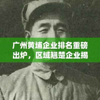 广州黄埔企业排名重磅出炉,区域翘楚企业揭晓