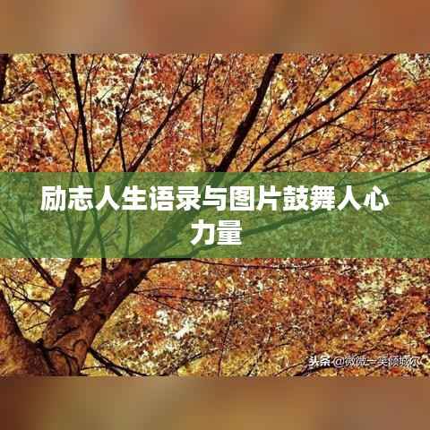 怨天怨地