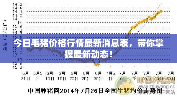 今日毛猪价格行情最新消息表,带你掌握最新动态!