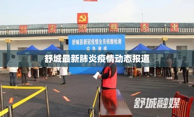 舒城最新肺炎疫情动态报道