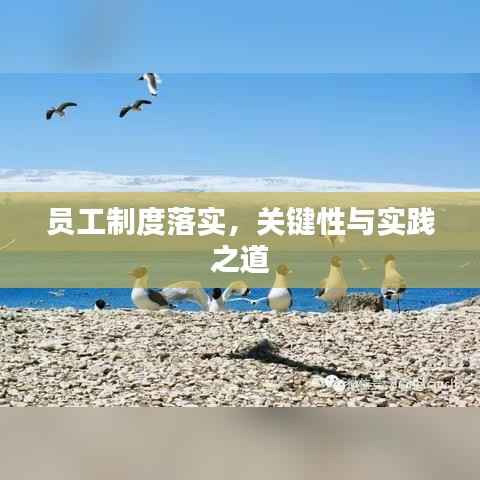 员工制度落实,关键性与实践之道