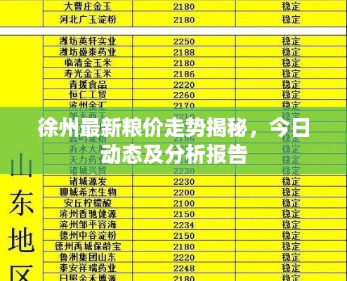 徐州最新粮价走势揭秘,今日动态及分析报告