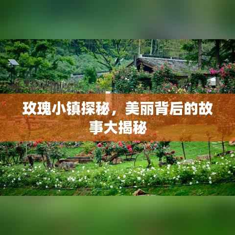 夸夸其谈