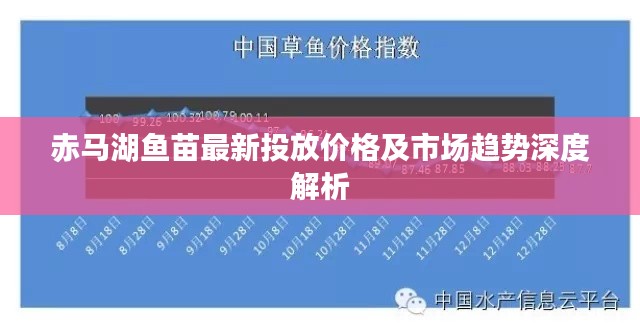 赤马湖鱼苗最新投放价格及市场趋势深度解析