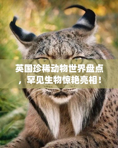 如花似玉 第2页