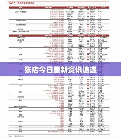 张店今日最新资讯速递