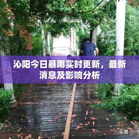 沁阳今日暴雨实时更新,最新消息及影响分析