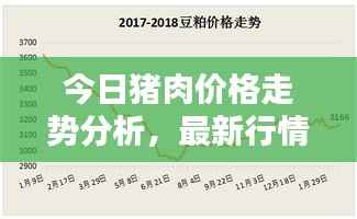 今日猪肉价格走势分析,最新行情揭秘