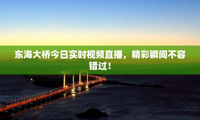 东海大桥今日实时视频直播，精彩瞬间不容错过！