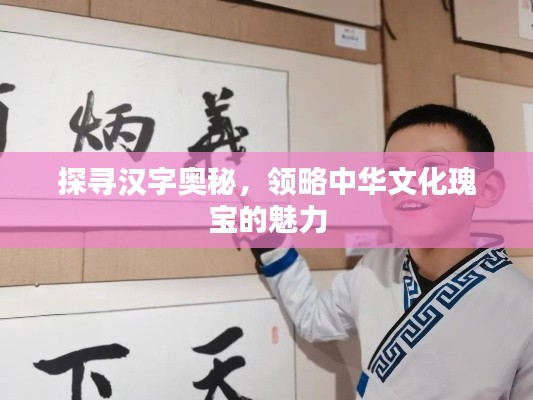探寻汉字奥秘,领略中华文化瑰宝的魅力