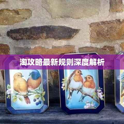 淘攻略最新规则深度解析